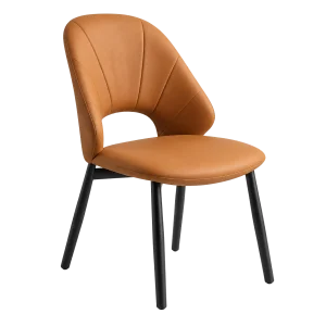 Ghế Ăn Cleo CASA-GNK-0022